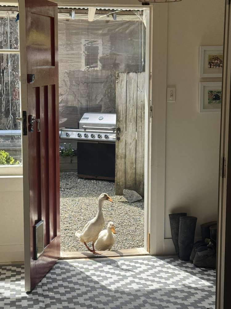 331 Kaipara Flats Road Warkworth_25