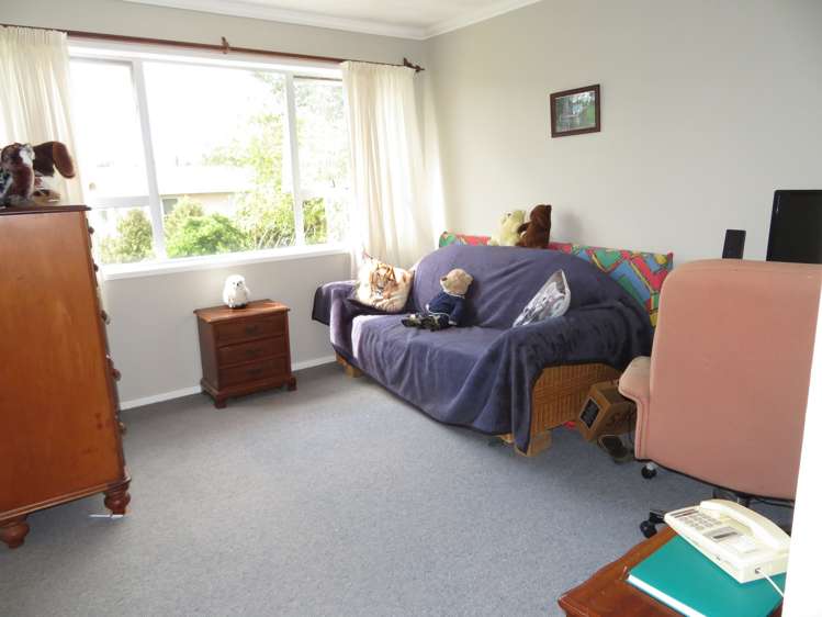 65 Hall Street Kihikihi_9