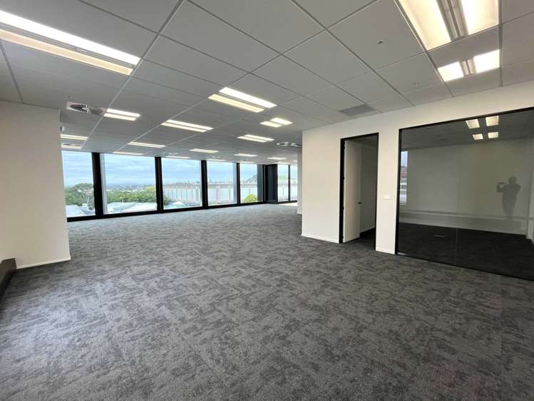 110 Carlton Gore Road Newmarket_3