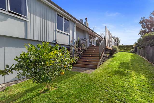 100 North Street Morrinsville_2