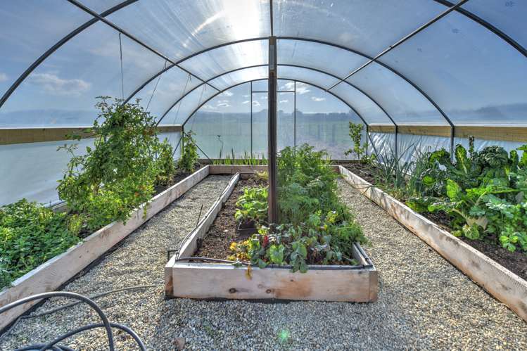 15 Cemetery Road Kuri Bush_43