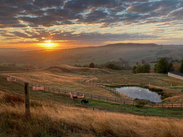 823 Wairamarama Onewhero Road Onewhero_3