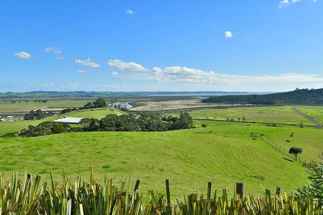 318 Kaipara Coast Highway Helensville_1