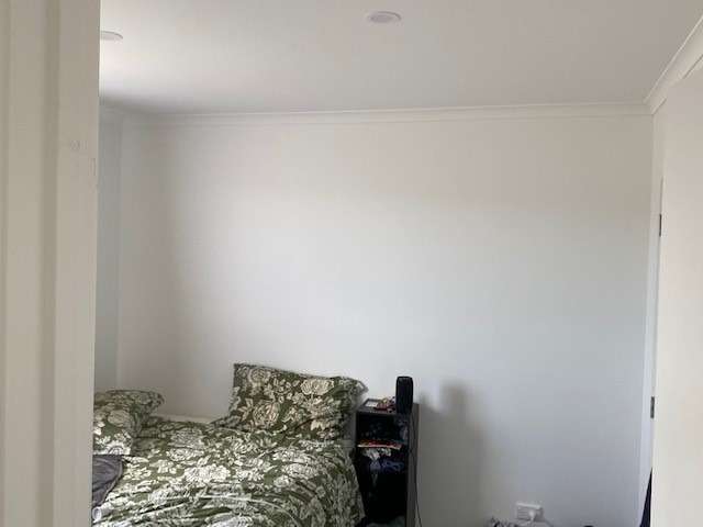 49 Plover Street One Tree Point_4