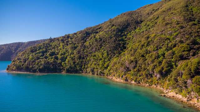 Lot 3 Patten Passage, Arapaoa Island Queen Charlotte Sound_4