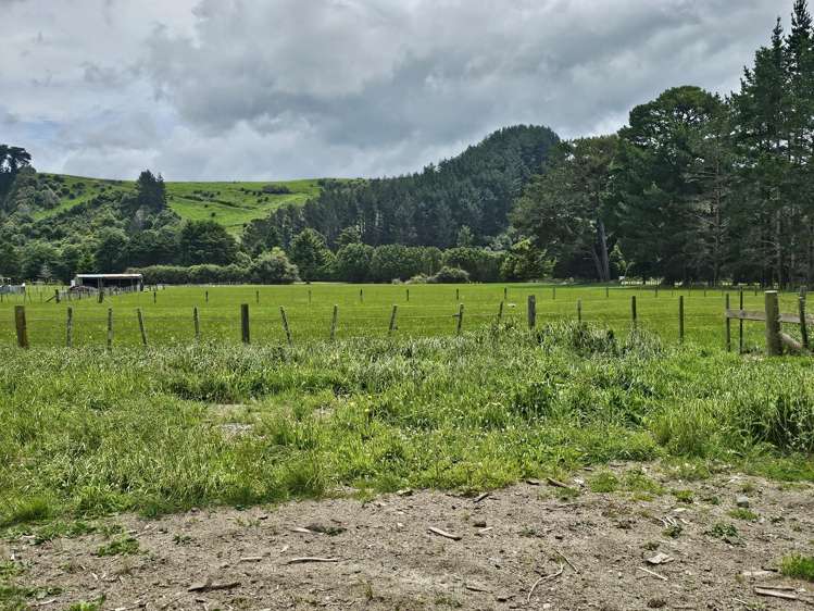 39 Newman Road Eketahuna_1