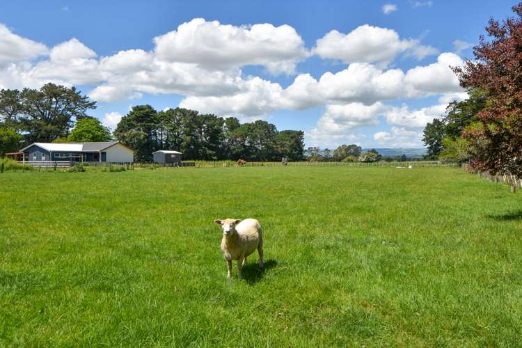 3394 State Highway 2 Carterton_15