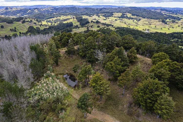 561 Riponui Road Purua Whangārei Houses for Sale One Roof