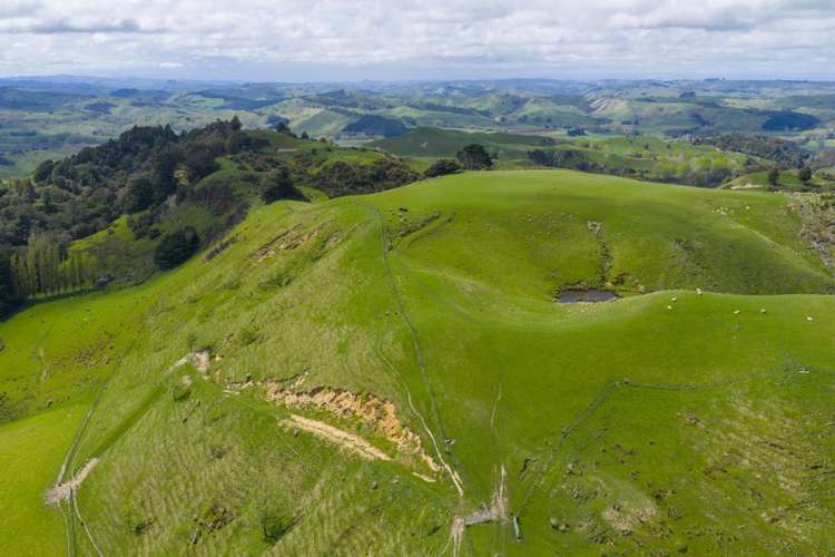 1250 Kaukatea Valley Road Okoia_10