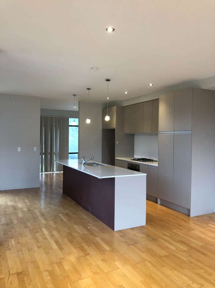 39 Norwood Drive Flat Bush_2