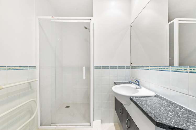 11a Birdwood Crescent Parnell_12