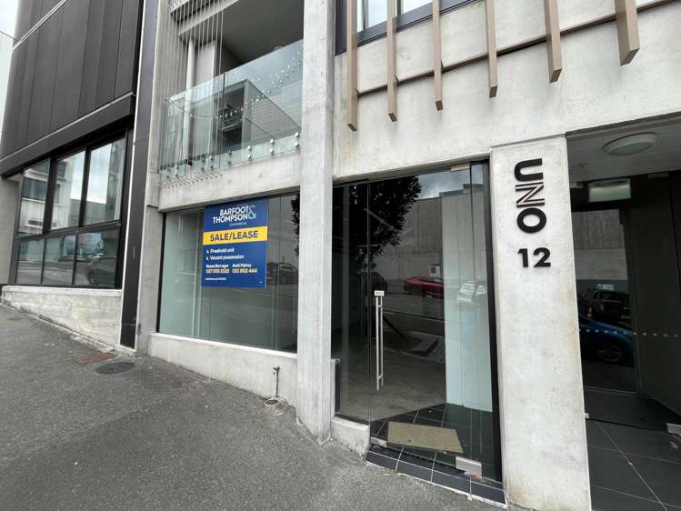 Unit 2/12 Vinegar Lane Grey Lynn_1