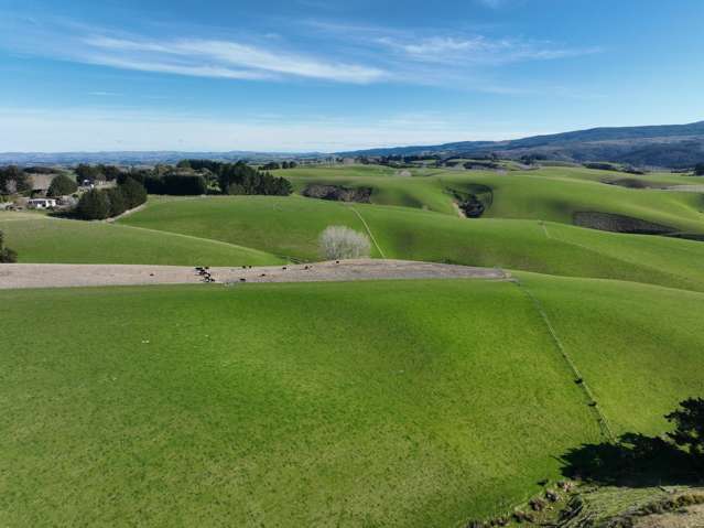 Versatile Sheep and Beef Property