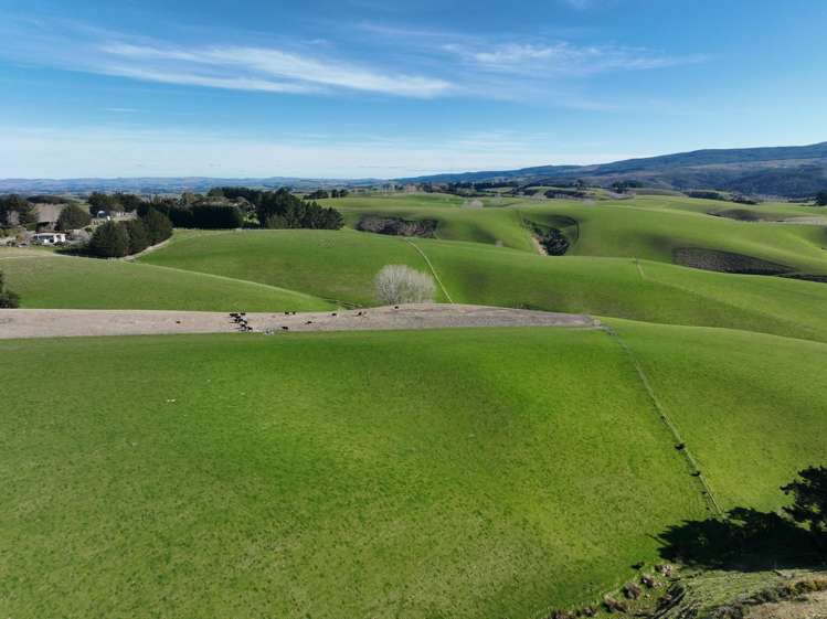 1628 Tuapeka West Road and 275 Bush Road_0