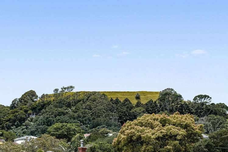 14 Tarata Street Mount Eden_20