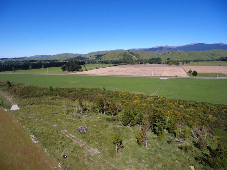 1562 State Highway 2 Kiriwhakapapa_5