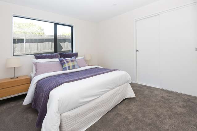 19d Court Crescent Panmure_3