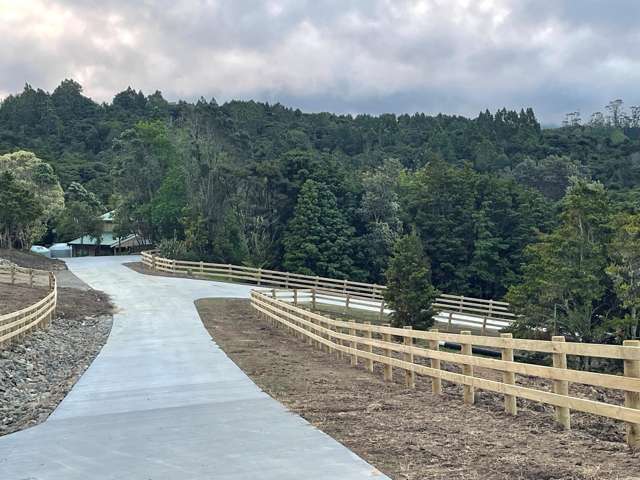 Mangawhai Bush Estate Mangawhai_2