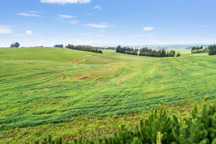 Lot 1 and 2 Pinnacle Road Gore_14