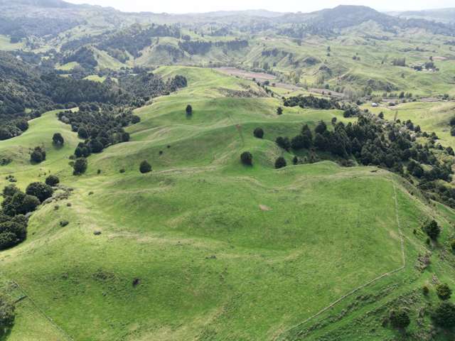 Paraketu Road Waimiha_1