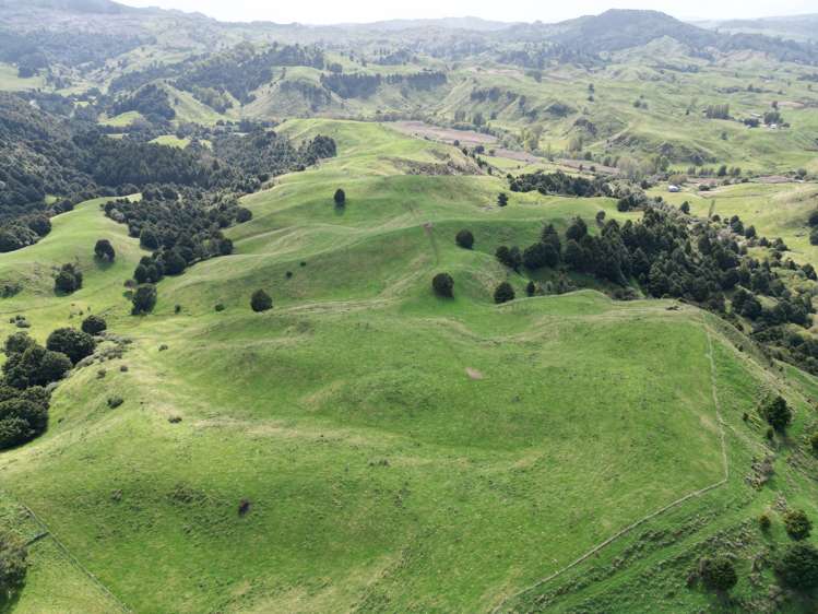 Paraketu Road Waimiha_1