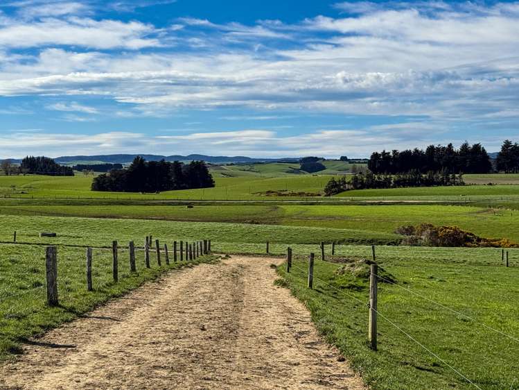 1532 Wyndham Letterbox Road Mataura Island_17