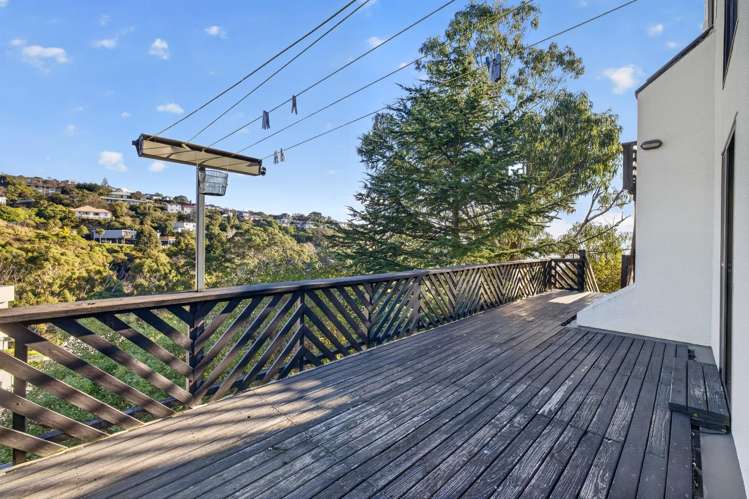 60 Soleares Avenue Mount Pleasant_5