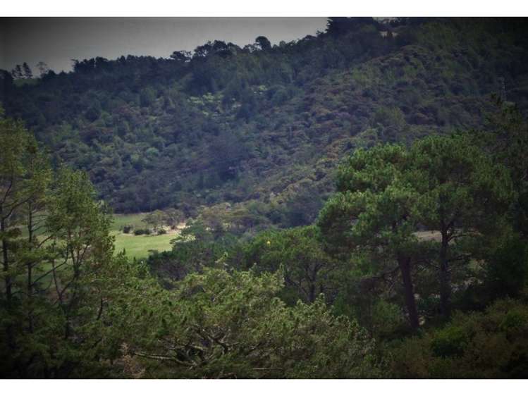 132b Gatfield Road Kaukapakapa_4