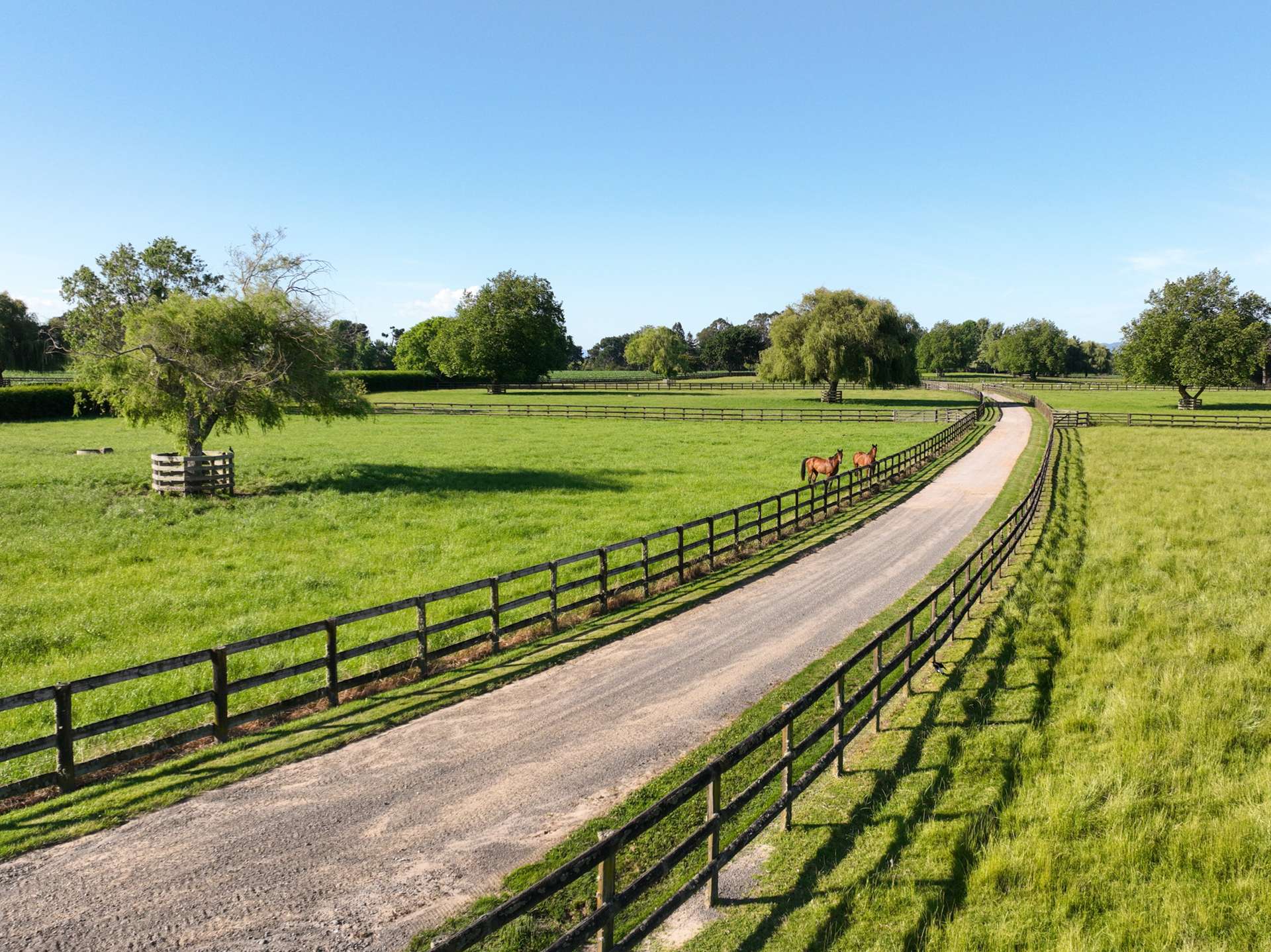 136 Wells Road Okoroire_0