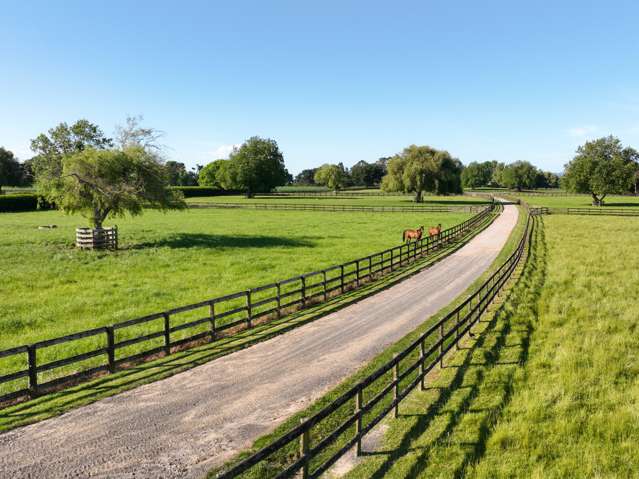 Prime Waikato Estate - productivity and prestige