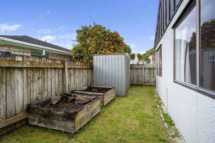 2C Kaniere Street Mt Maunganui_15