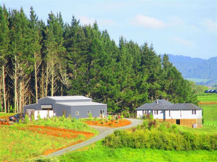 17 Robertson Road Whatawhata_0