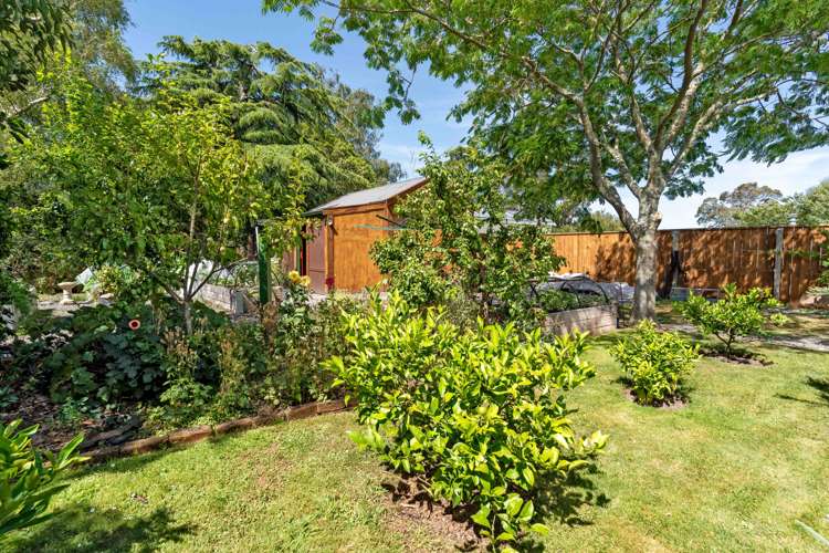 32 Waltons Avenue Masterton_14