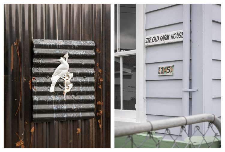 15 Waiomu Valley Road Thames-coromandel_17