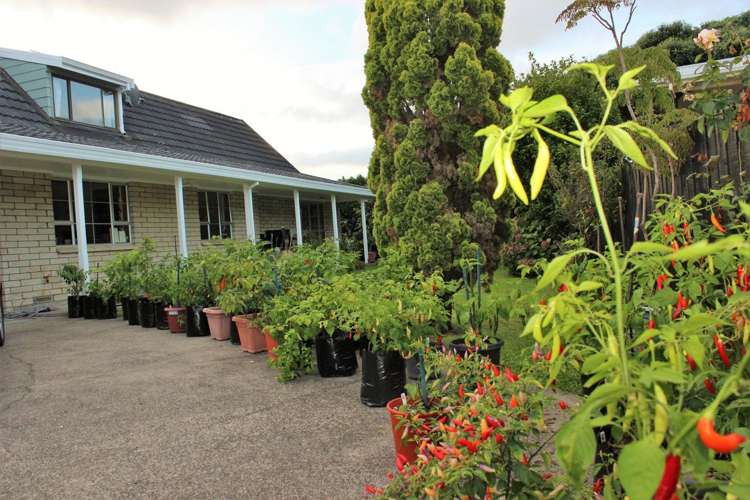 419 Ensor Street Thames_16