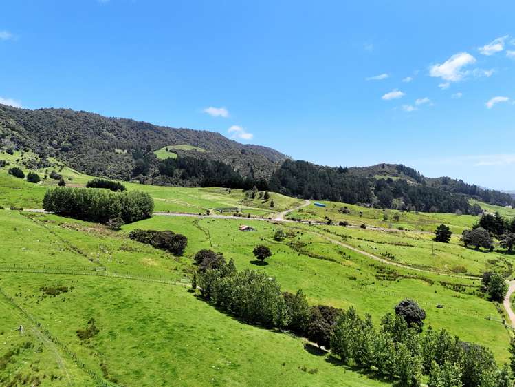 7046 State Highway 12 Waimamaku_12