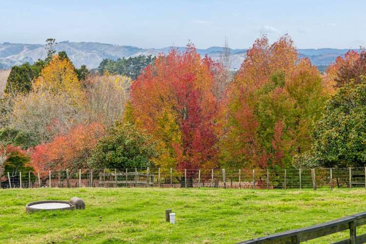 1984 Hunua Road Hunua_20
