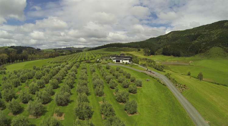 788 Whangaripo Valley Road Whangaripo_12