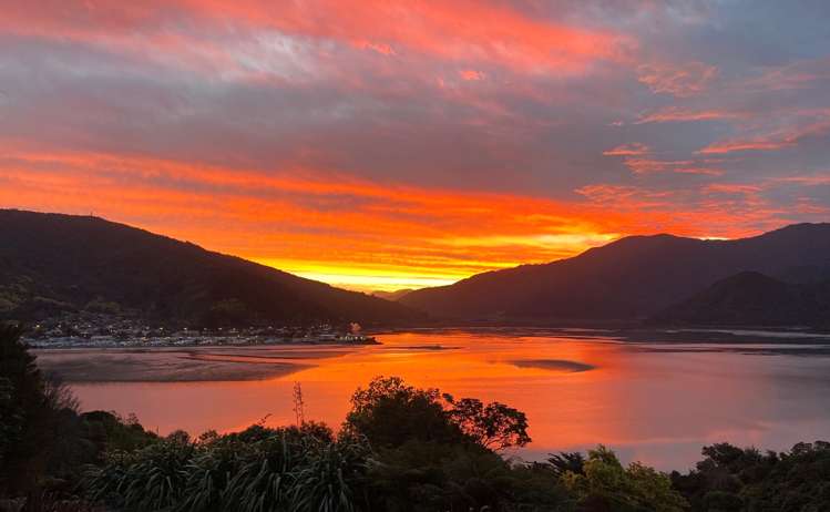 251 Queen Charlotte Drive Havelock_31