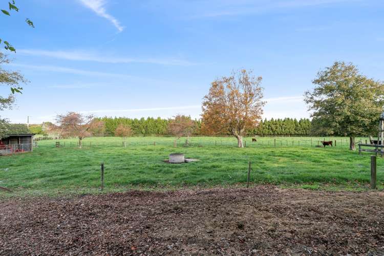 104 Princess Street Waitara_45