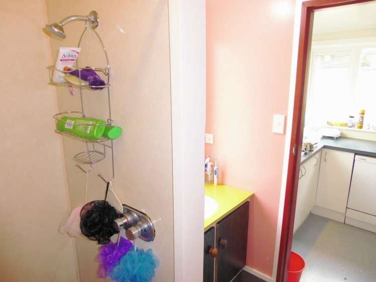 158 Albany Street North Dunedin_6