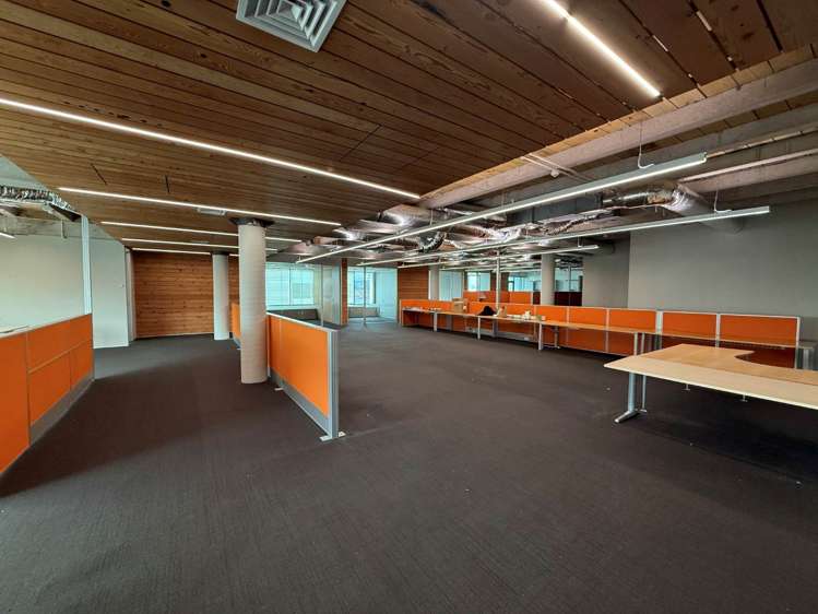 26 Virginia Avenue Eden Terrace_5