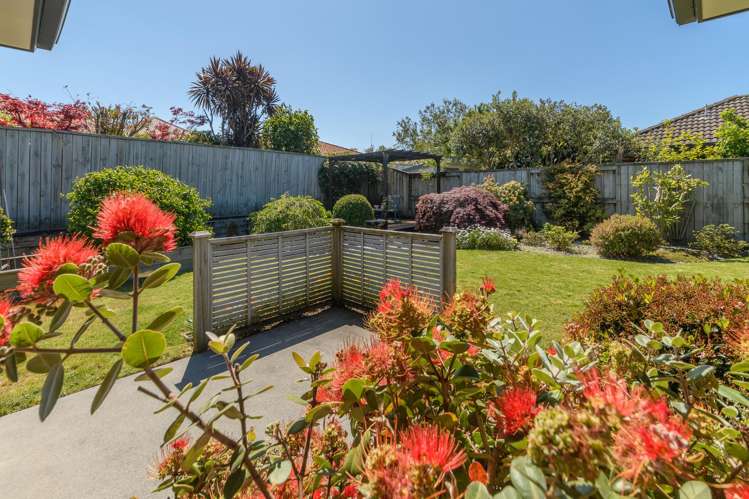 66 Carrington Drive Papamoa_10