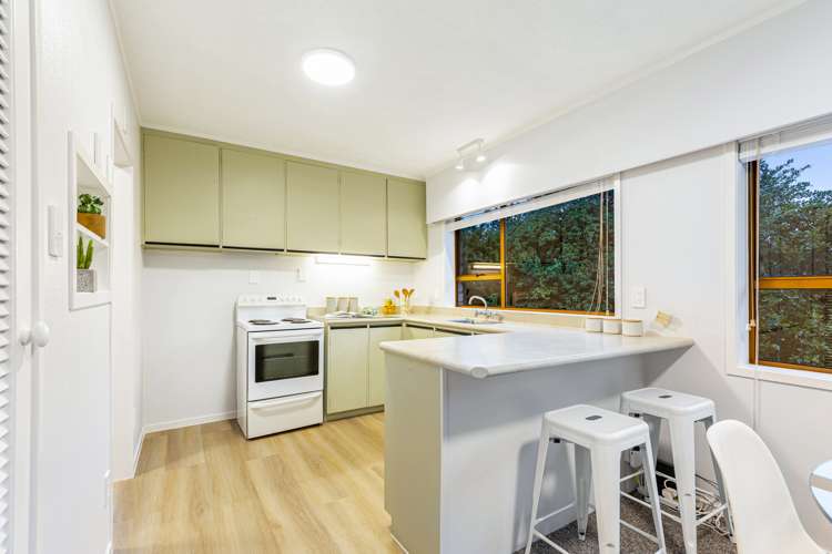 18b Impala Place Hillsborough_5