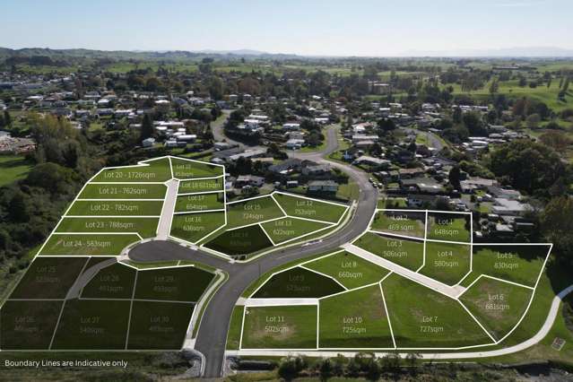 ** Ruru Downs Putaruru_1