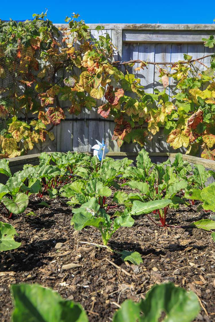 22 Merrimana Drive Thames_22