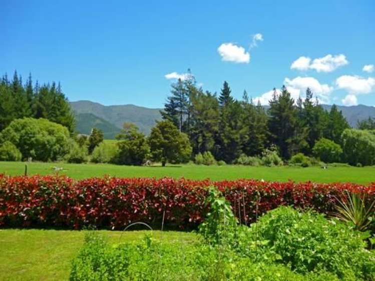 6 Harwood Place Kahurangi National Park_2