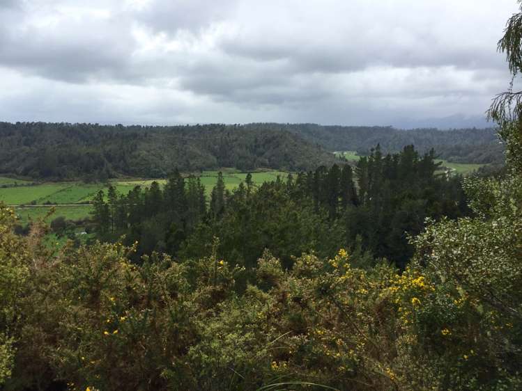 134b Granite Creek Road Karamea_10