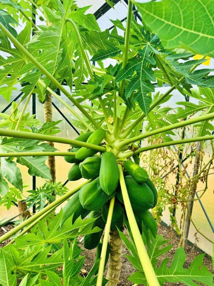 4037c Far North Road Pukenui_18