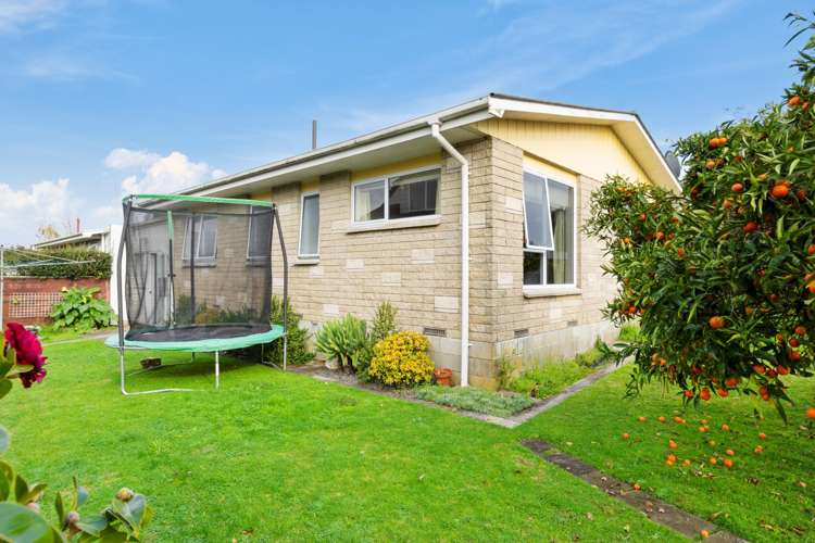 24b Hall Road Matua_11